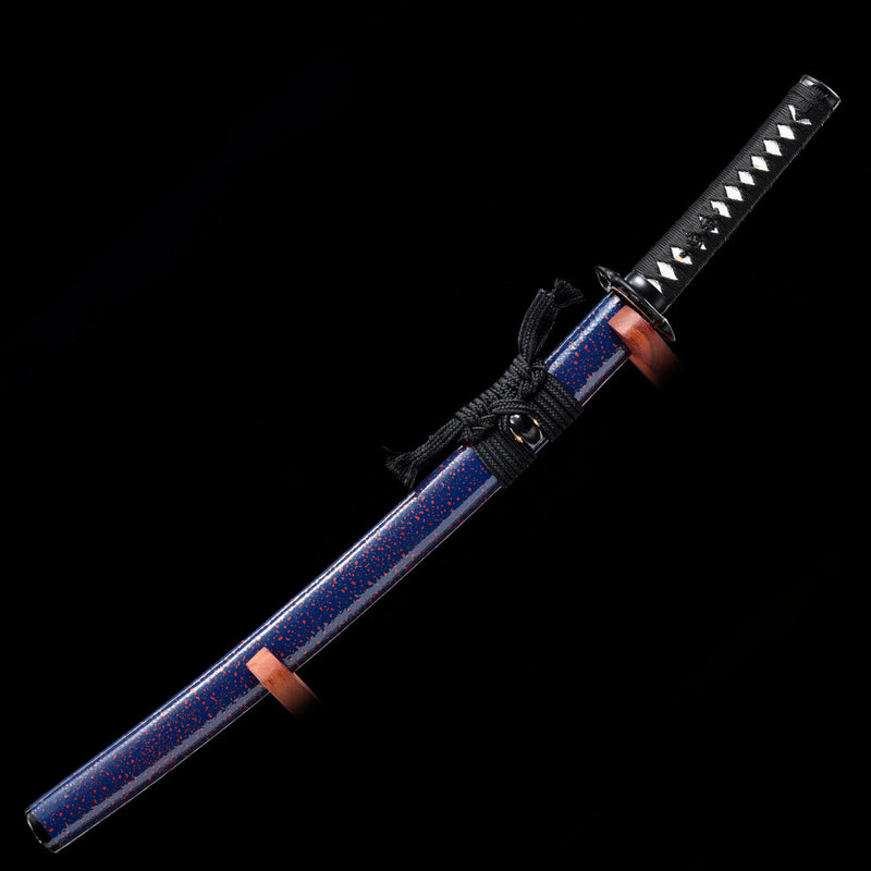 Wakizashi Sword