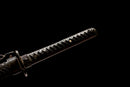 Black wolf Japanese katana sword made from high-grade T10 steel, handmade for collectors