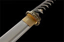 Hand Made High Quality T10 Steel Wakizashi - Kanu Swords